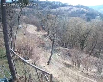 Schneewittchen-Land Live