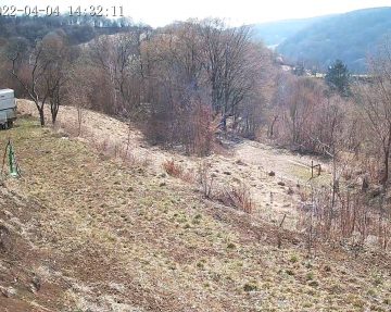 Schneewittchen-Land Live