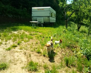 Camping Urlaub Schäßburg Via Transilvanica