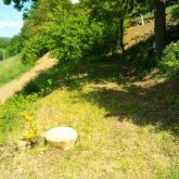 Terrasse unter der Eiche
