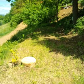 Terrasse unter der Eiche